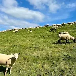 Schoene Direkt Am Elbdeich 公寓 *