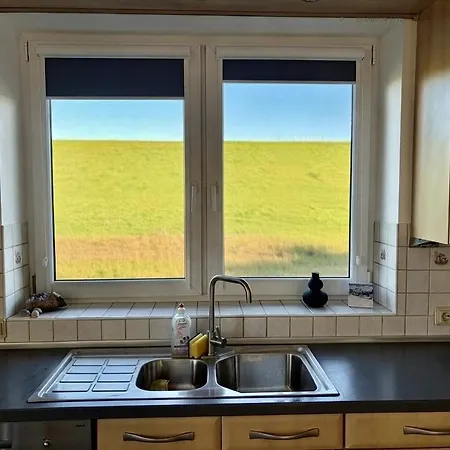 Schoene Direkt Am Elbdeich Apartament Grünendeich