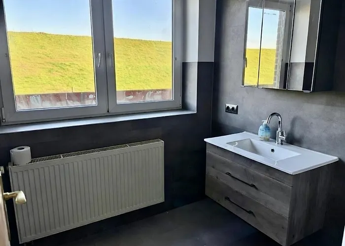 Schöne Direkt Am Elbdeich Grünendeich
